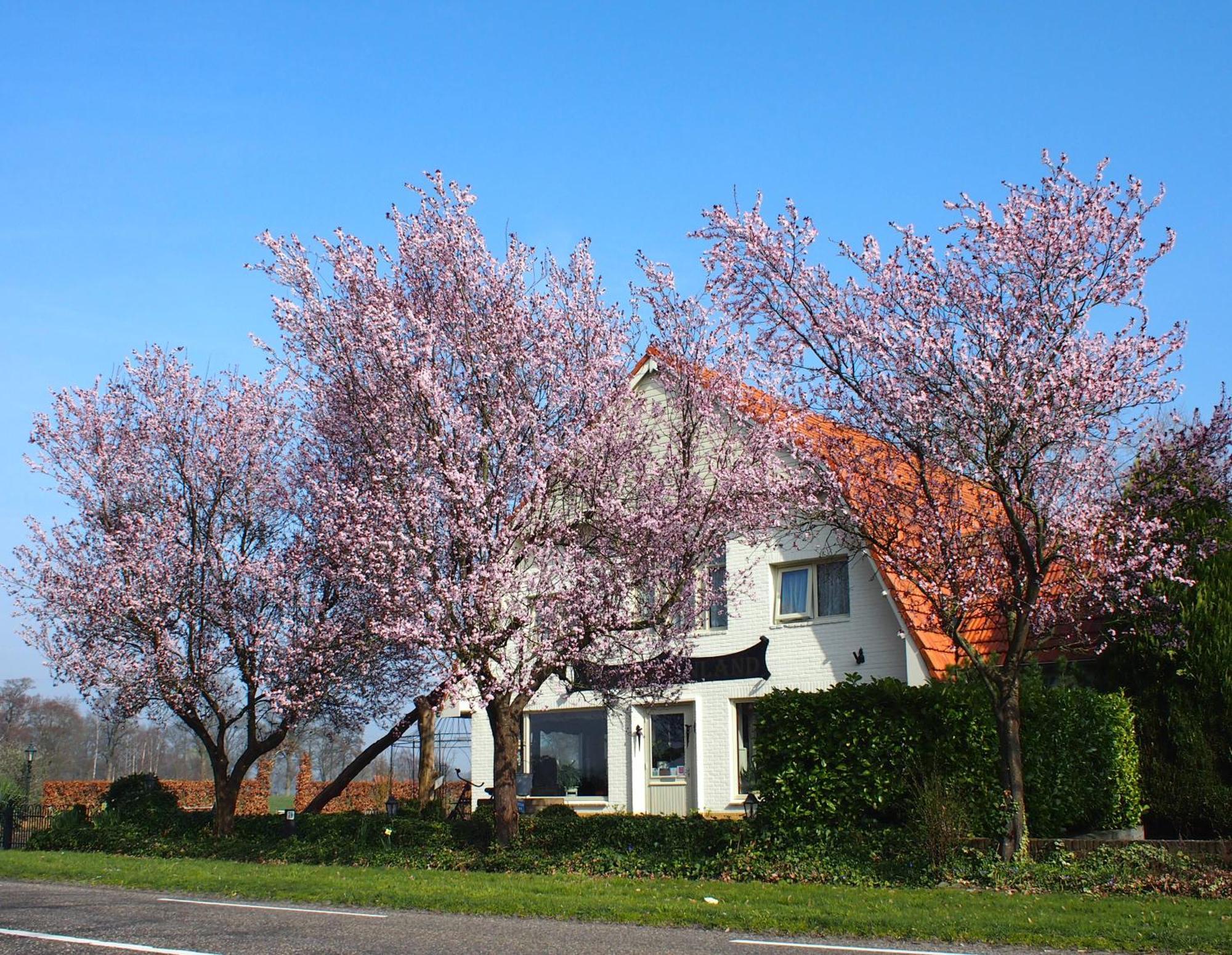 B&B Sagenland Harbrinkhoek Luaran gambar